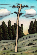 Paddock and Pole near Mittagong