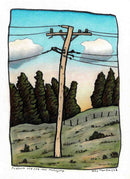 Paddock and Pole near Mittagong